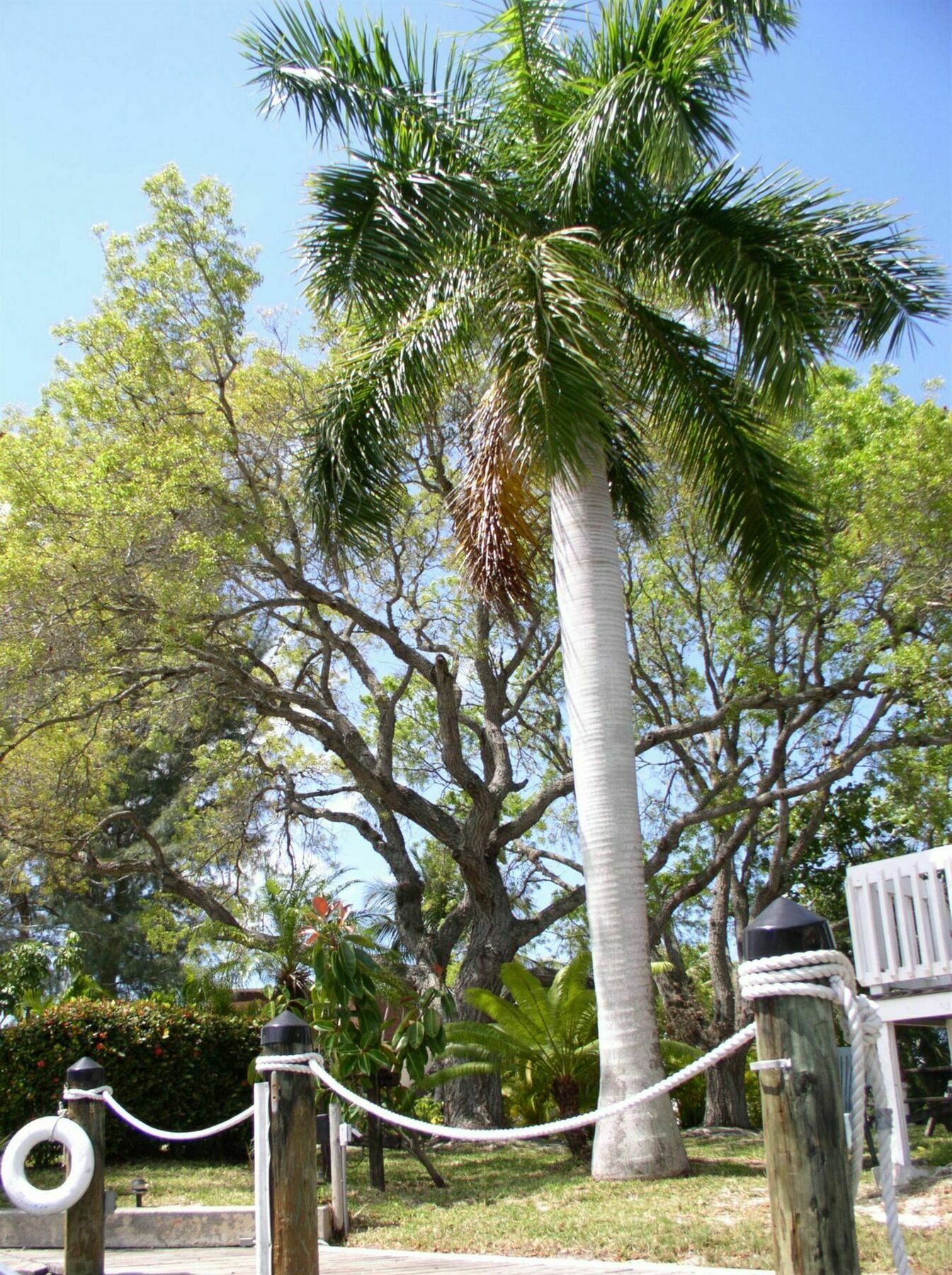 Hidden Harbor Suites Fort Myers Beach Bagian luar foto